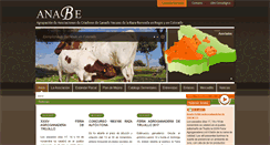Desktop Screenshot of anabe.net